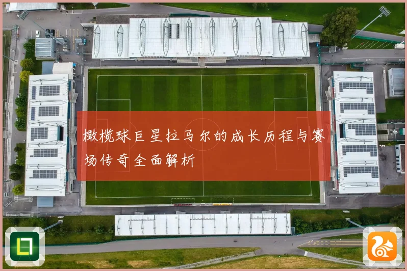 橄榄球巨星拉马尔的成长历程与赛场传奇全面解析