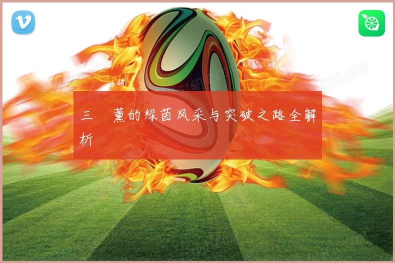 三笘薰的绿茵风采与突破之路全解析